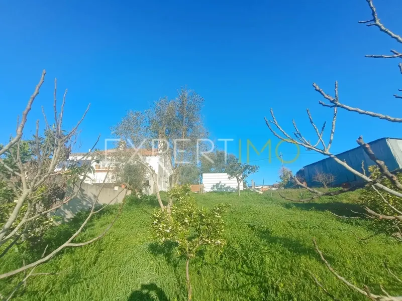 Property photo 2 of 4 Img 1