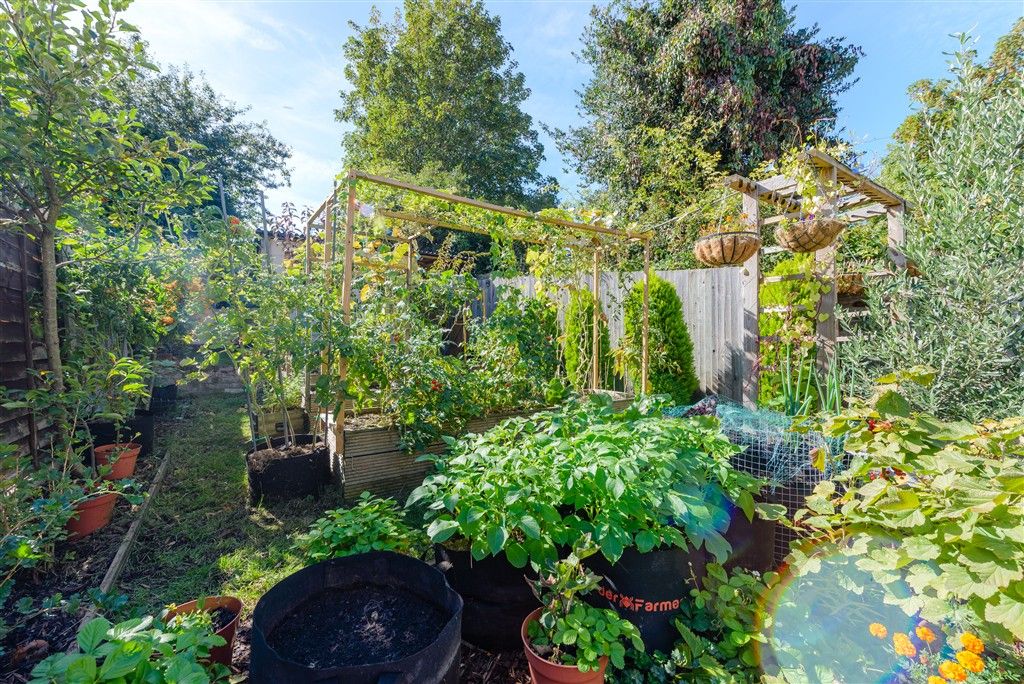 Property photo 3 of 12 Rear Garden