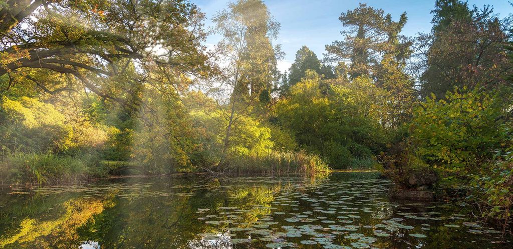 Additional image 21 of 4 bed flat for saleLarch Avenue, Ascot SL5