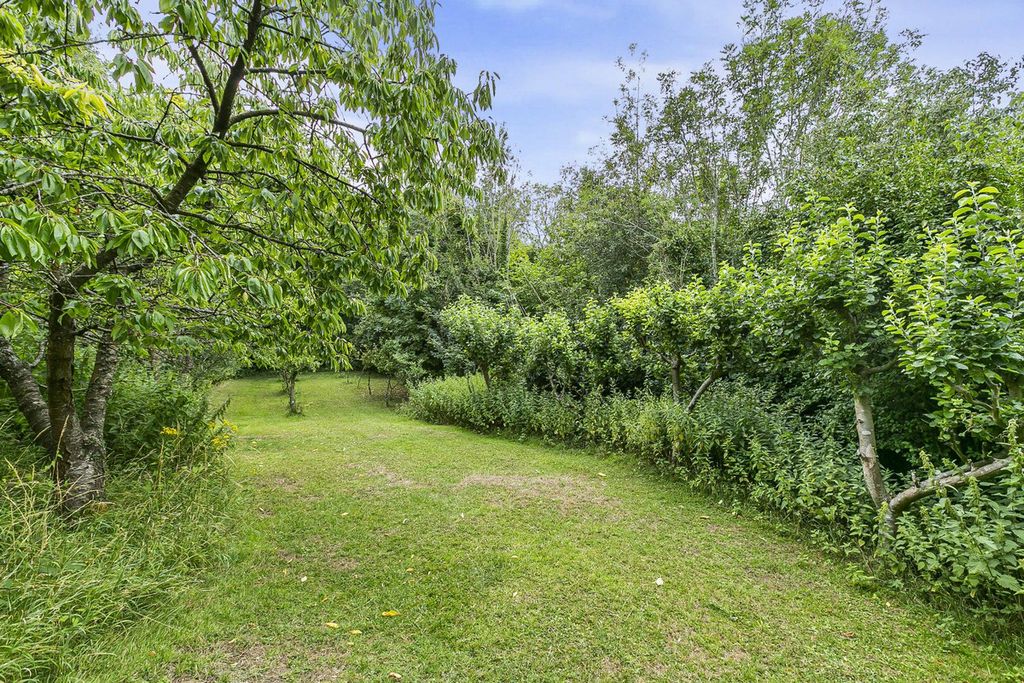 Property photo 3 of 13