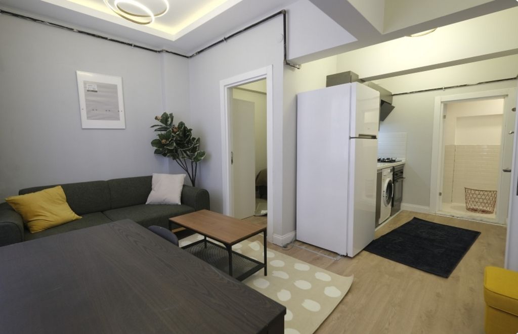Property photo 2 of 11 Istanbul Renovated Building For Sale In Istanbul - Open-Plan Apartment