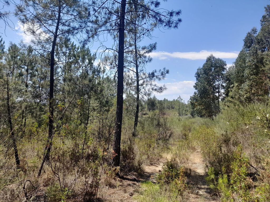 Property photo 2 of 4