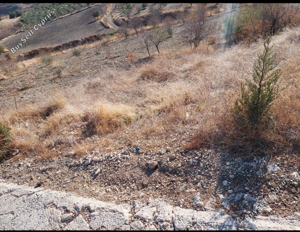 Property photo 3 of 4