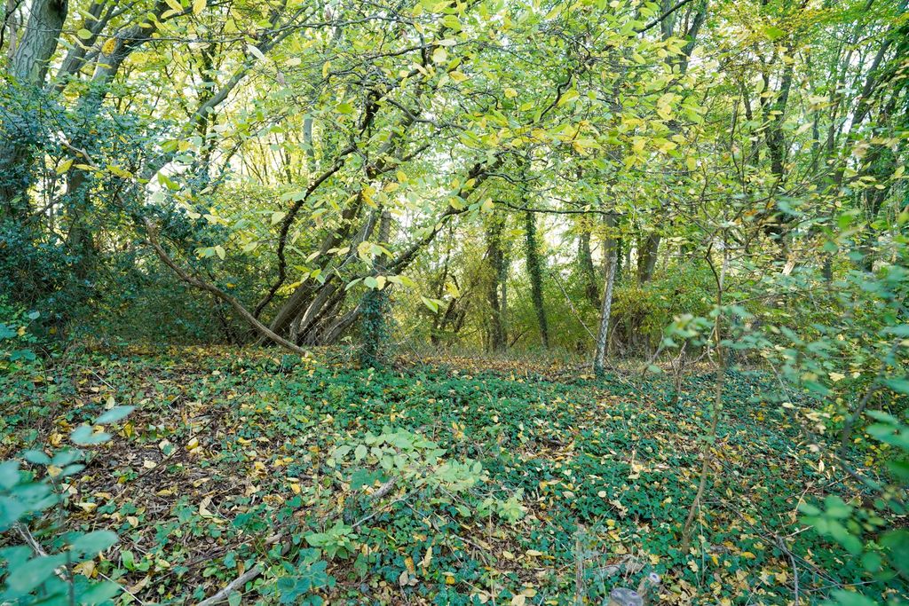 Property photo 3 of 4 Photo 2