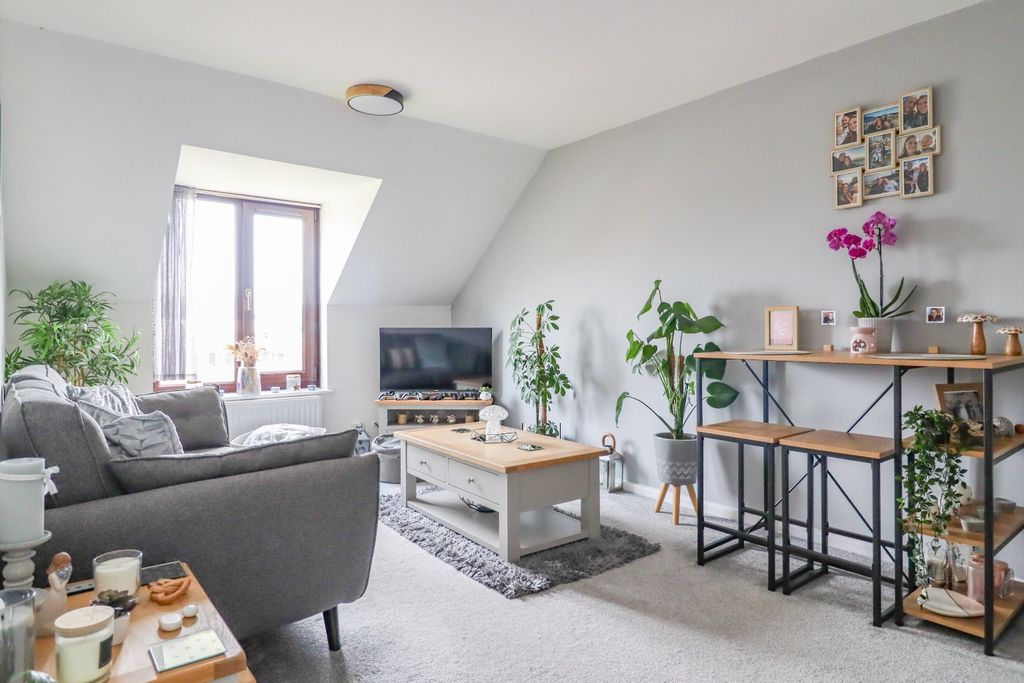 Property photo 1 of 12 4323072
