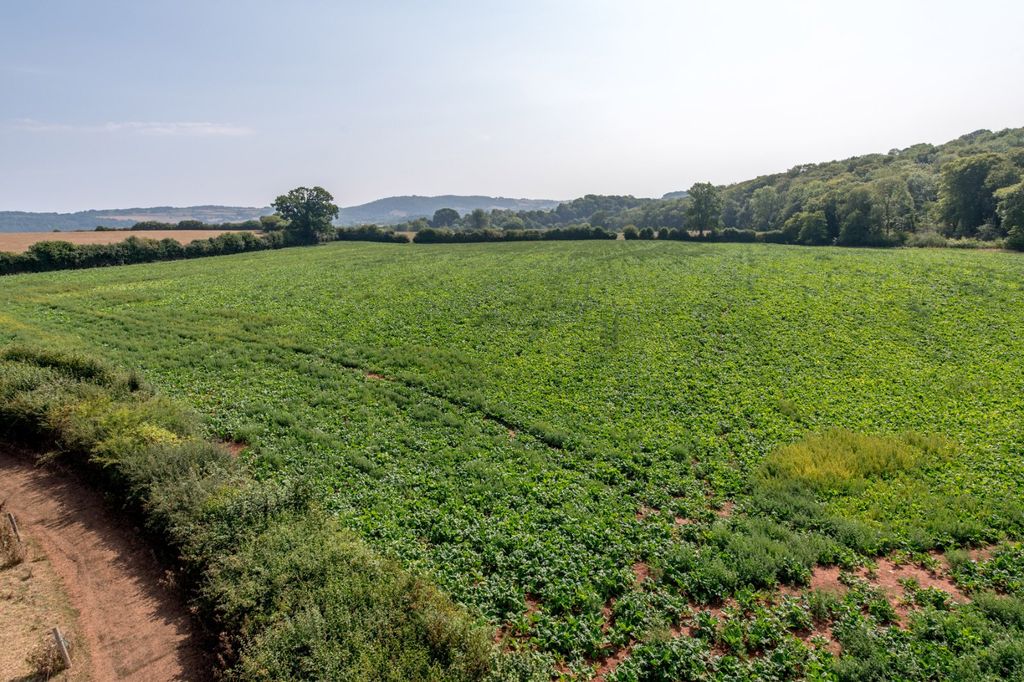 Property photo 2 of 8 Picture No. 02