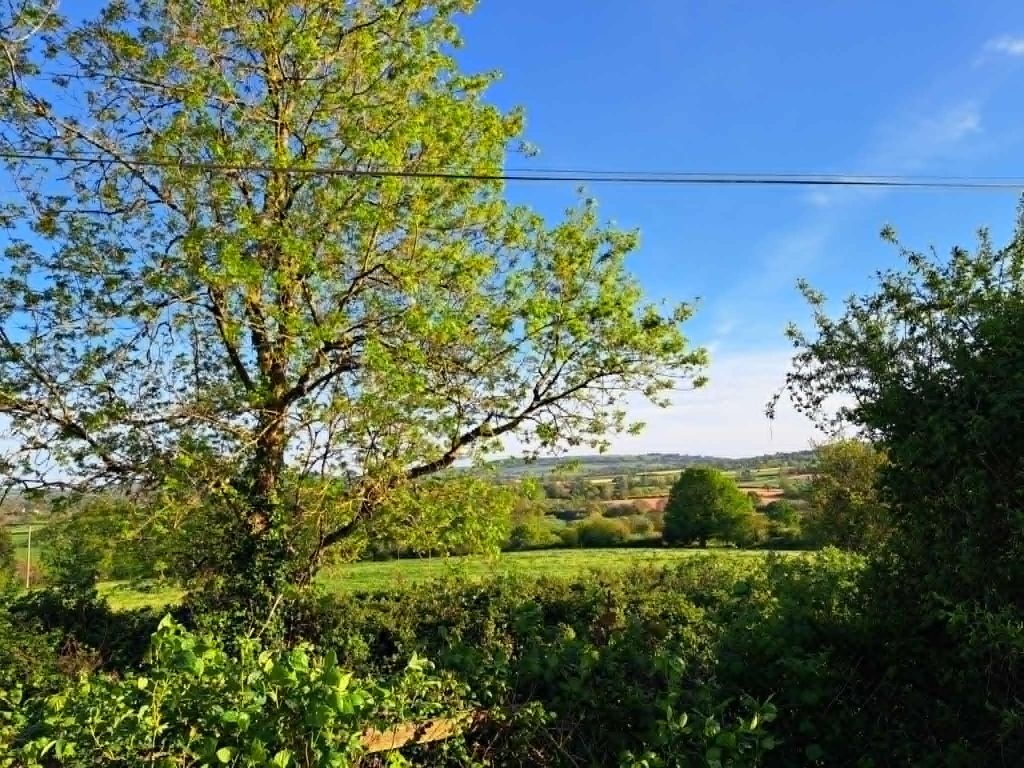Additional image 22 of 3 bed detached house for salePark Lane, Wayford, Crewkerne TA18