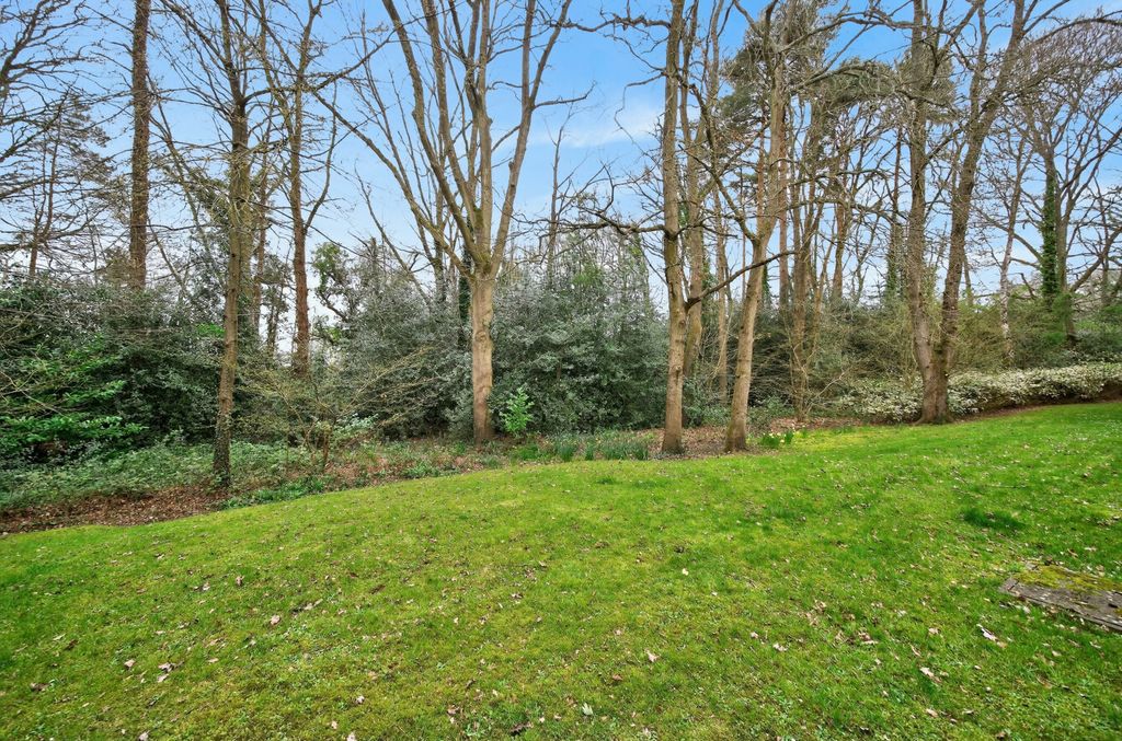 Property photo 2 of 17 1436679-2-69c656E...