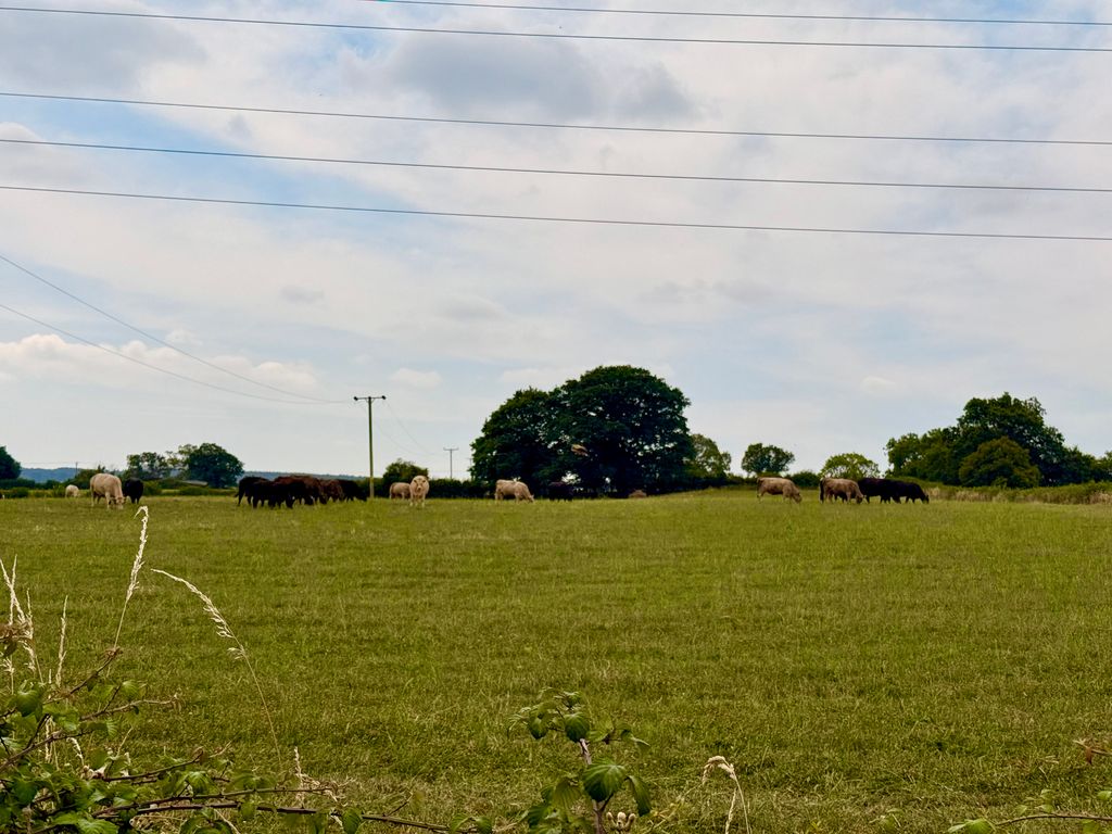 Property photo 3 of 17 Countryside Views