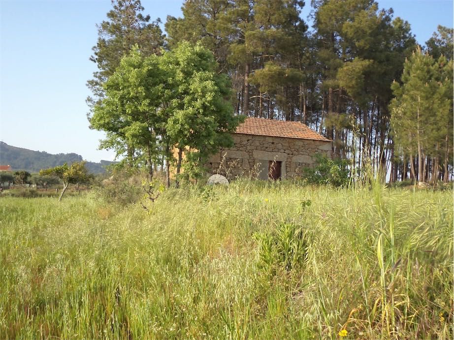 Property photo 2 of 47