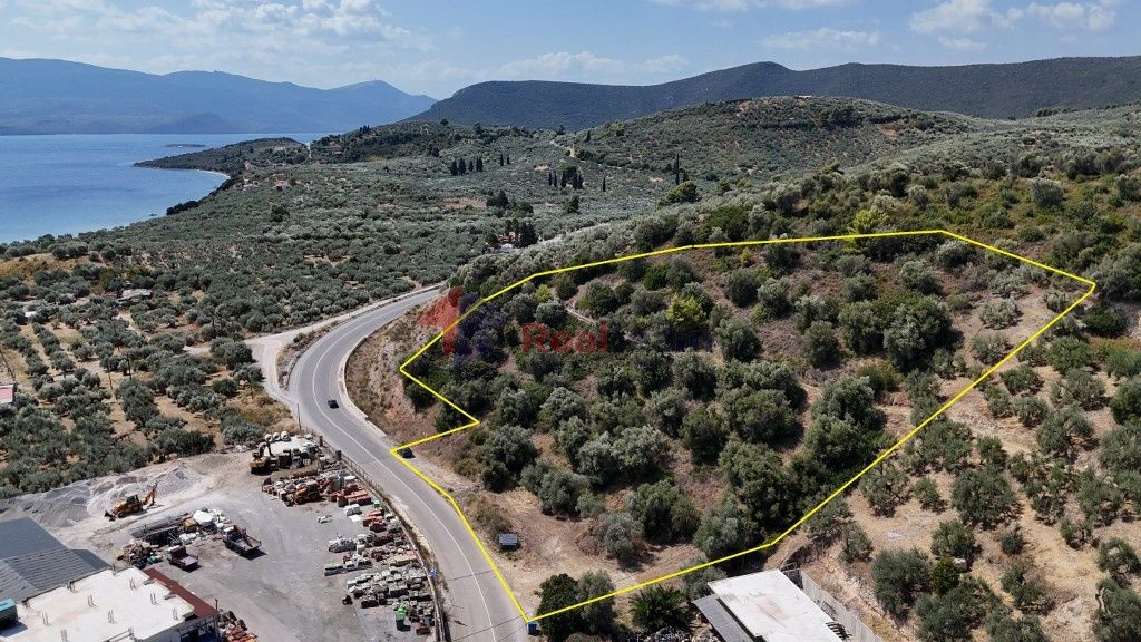 Property photo 1 of 25