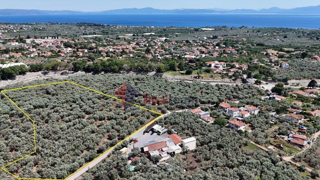 Property photo 3 of 24