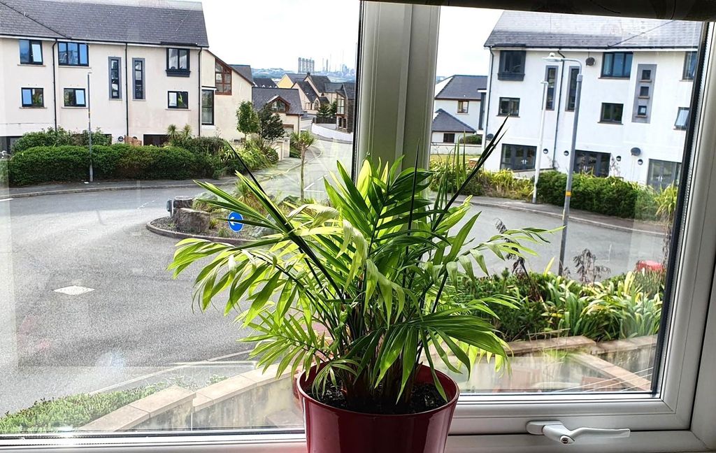 Property photo 3 of 11 305972639_1109602206329502_7191790736812893199_N.J