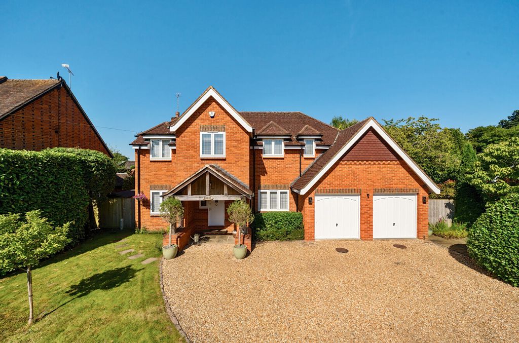 Additional image 23 of Something went wrong