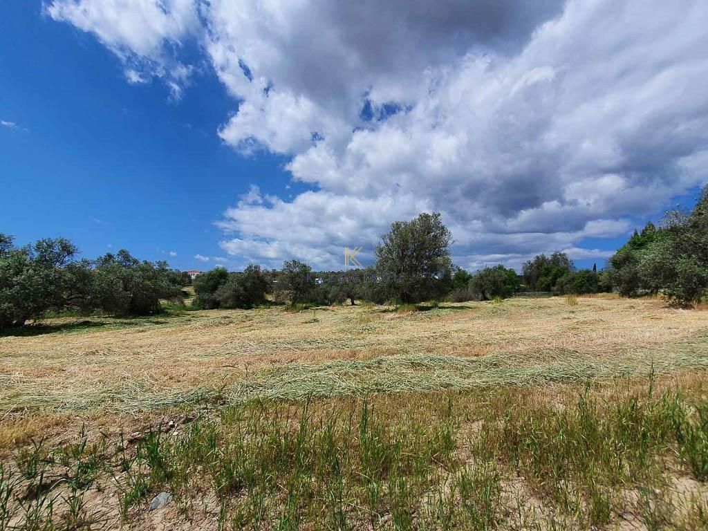 Property photo 2 of 4