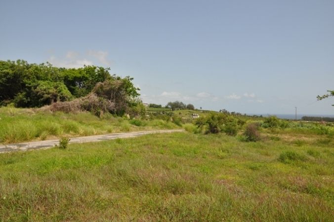 Property photo 3 of 5 <Alttext/>