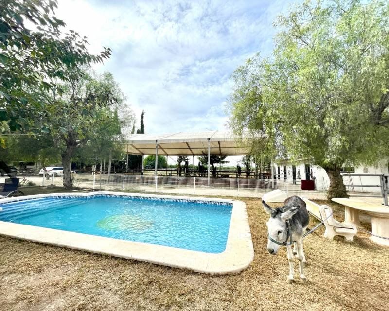 Property photo 1 of 50