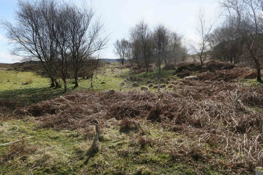 Additional image 4 of Land for salePlot B, 11 Skinidin, Dunvegan, Isle Of Skye IV55