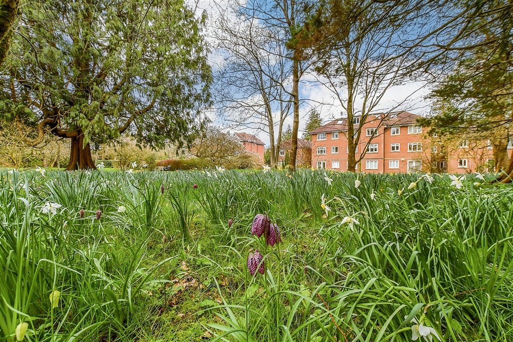 Property photo 2 of 12 Communal Gardens