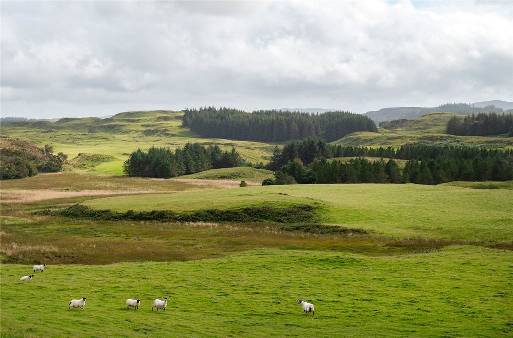 Additional image 28 of Land for saleGlengorm, Tobermory, Isle Of Mull, Argyll And Bute PA75