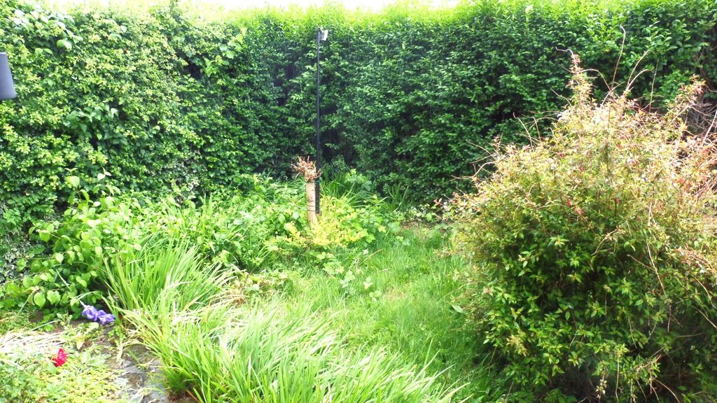 Property photo 2 of 23 Front Garden