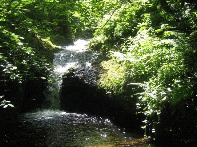 Property photo 3 of 22 Picture No. 01