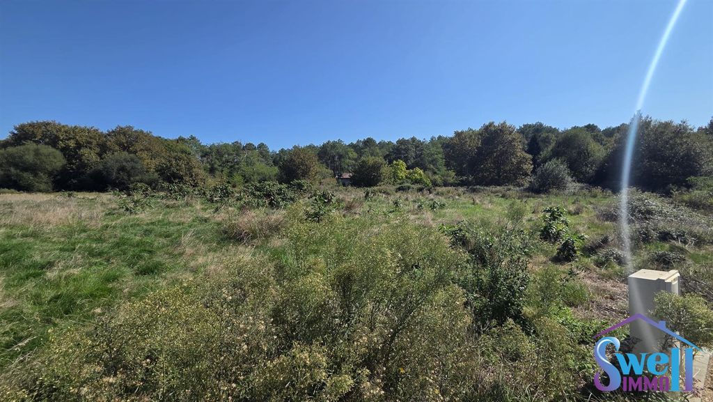 Property photo 1 of 3