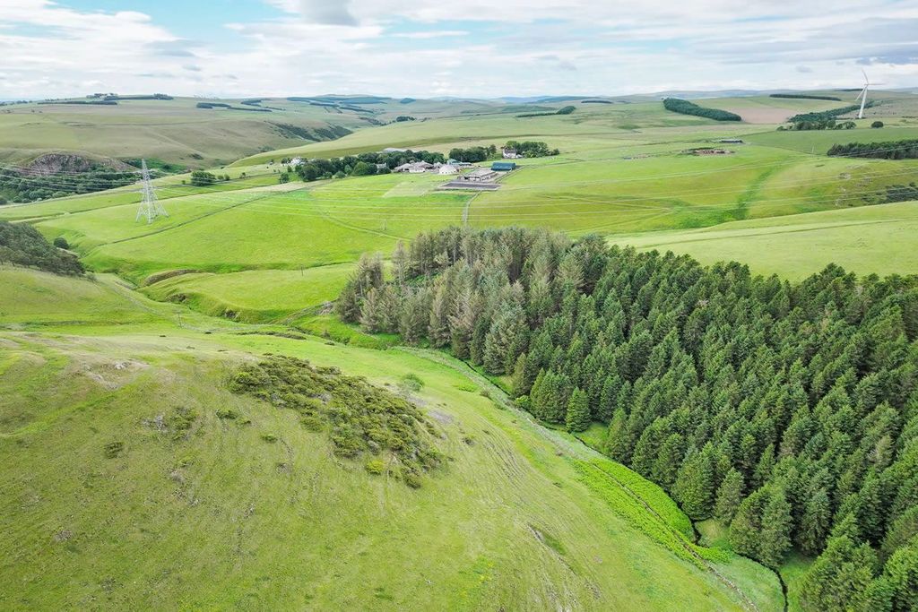 Additional image 7 of Land for saleForestry Land, Hartside Wood, Lauder, Scottish Borders TD26Pu TD2