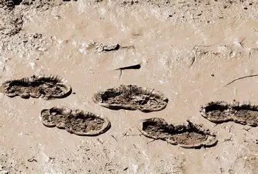 Property photo 3 of 11 Picture No. 09