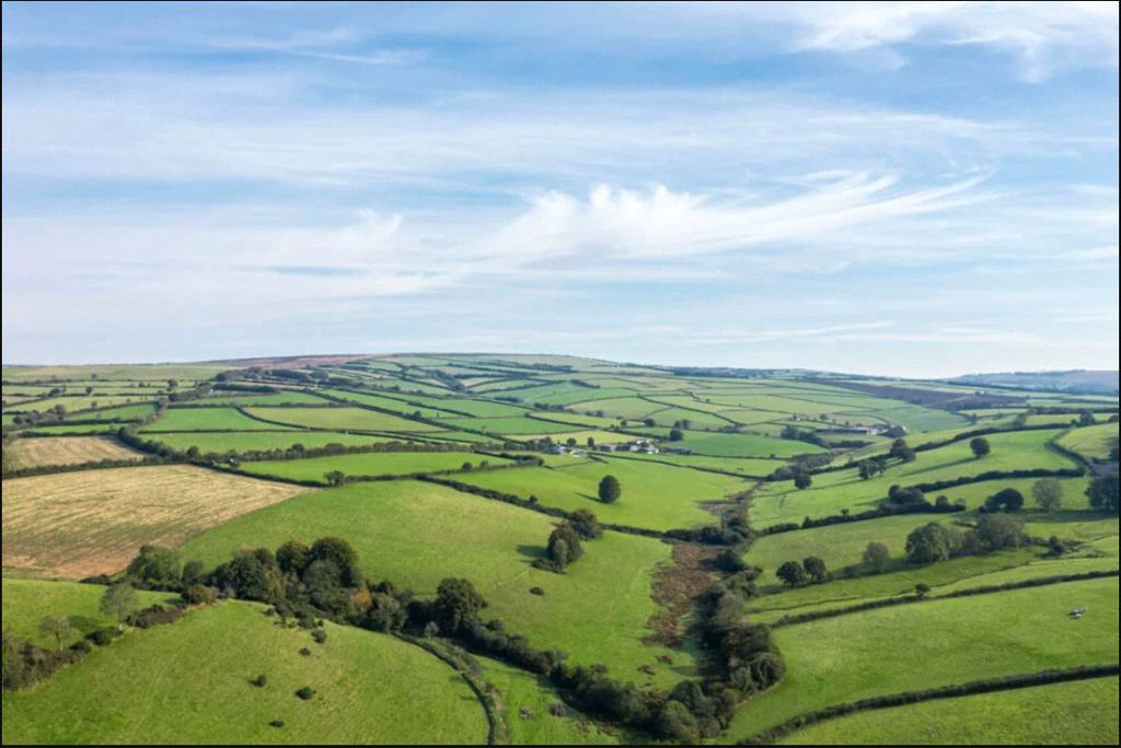 Property photo 3 of 16 Picture No. 16