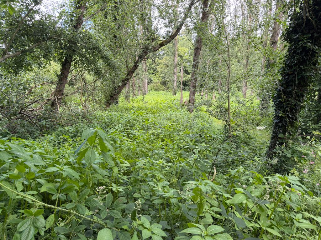 Additional image 5 of Land for sale64.17 Acres Land At Castle Farm, Greensforge Lane, Stourbridge DY7