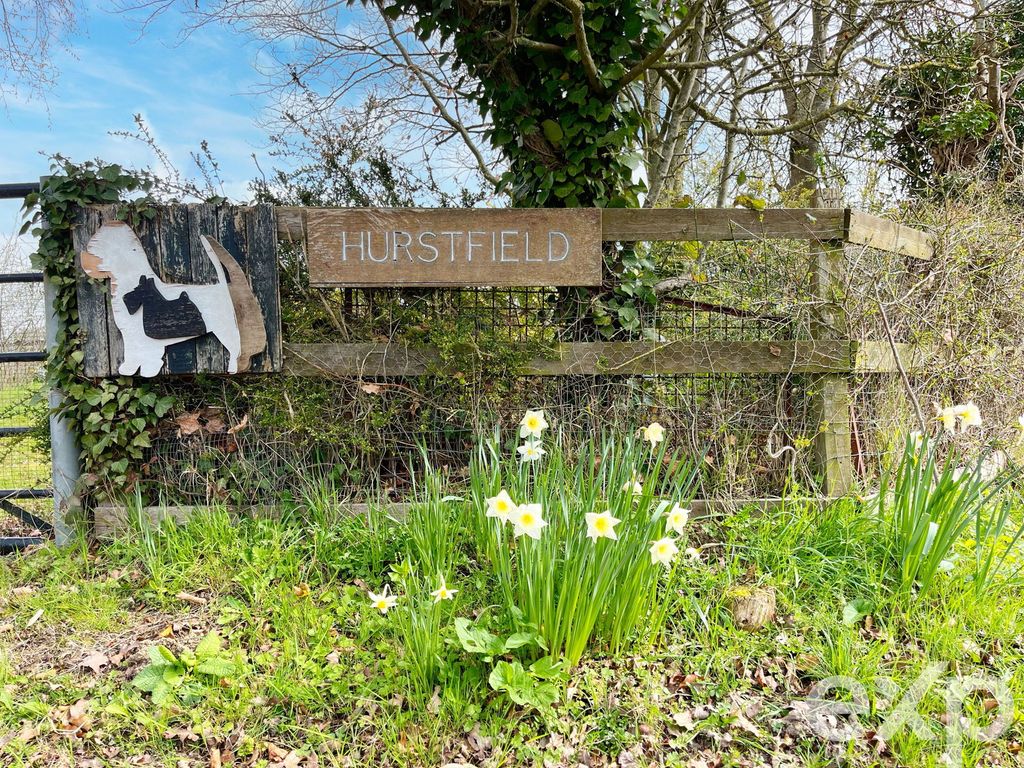 Property photo 3 of 34