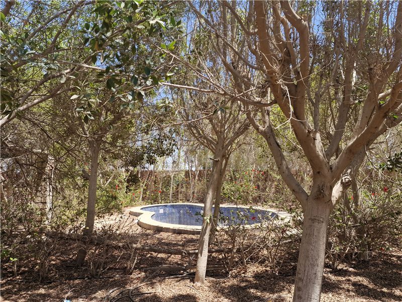 Property photo 2 of 16 Rear Garden And Pool