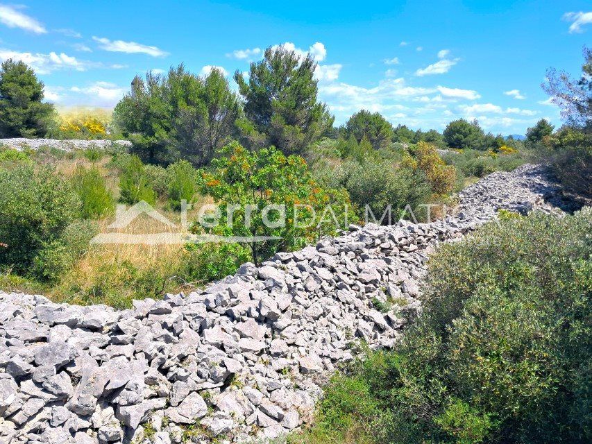 Property photo 1 of 4 Agricultural Land 4,455 m² In Srima
