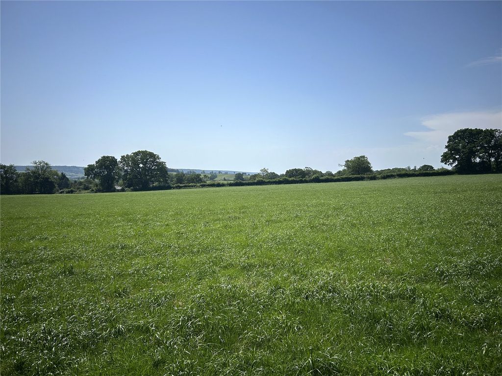 Property photo 2 of 4 Picture No. 36