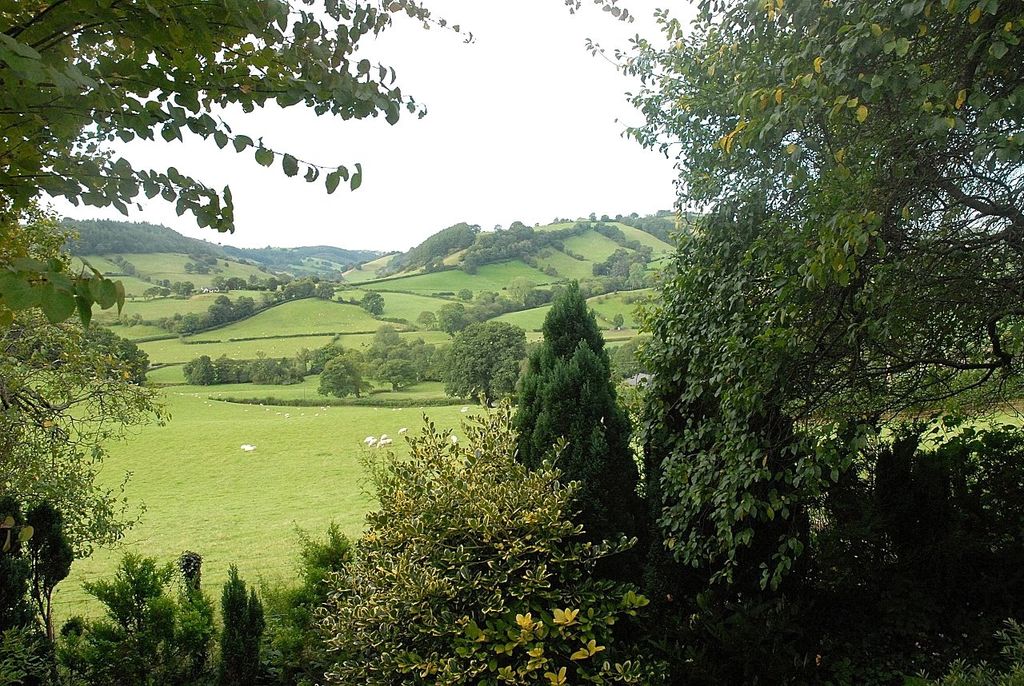 Additional image 29 of 4 bed detached house for saleLlanfyllin, Powys SY22