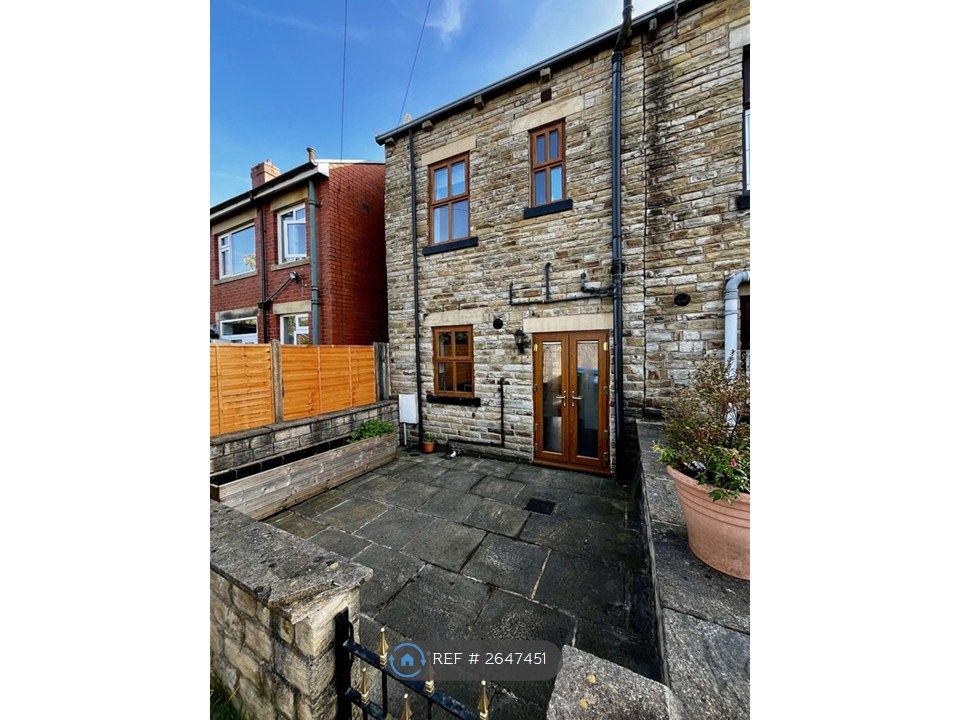 Property photo 3 of 15 Rear Yard