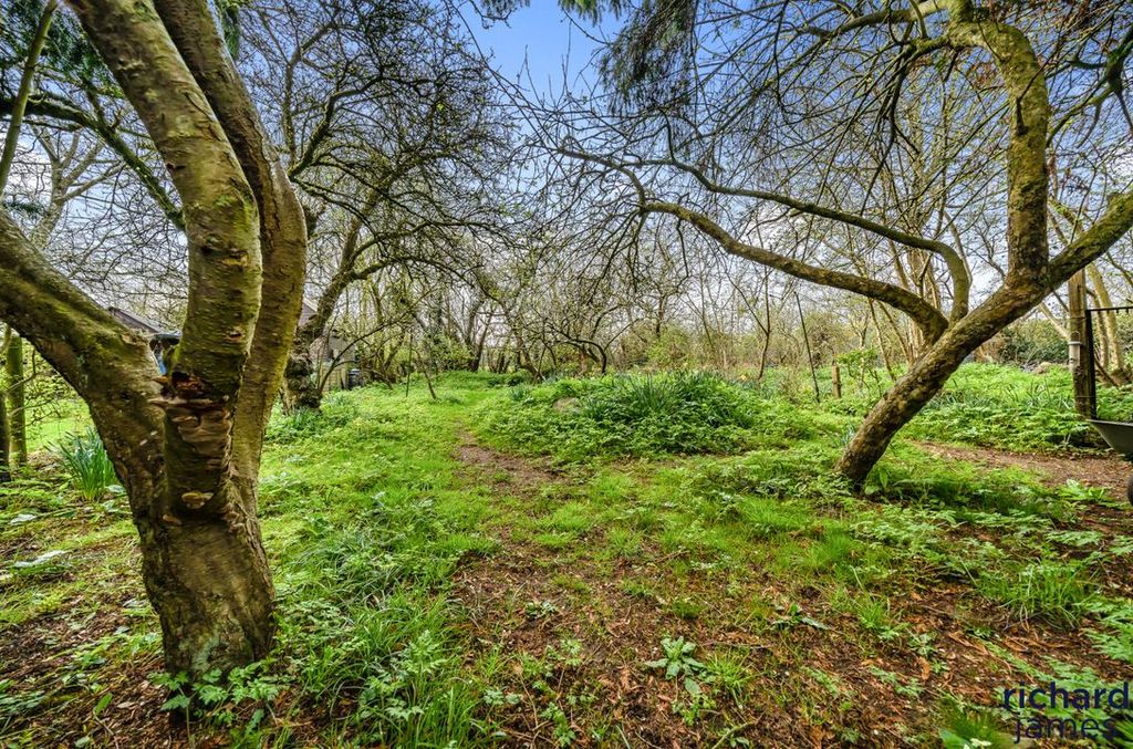 Property photo 3 of 25 27d1c1B4-d034-4B4...