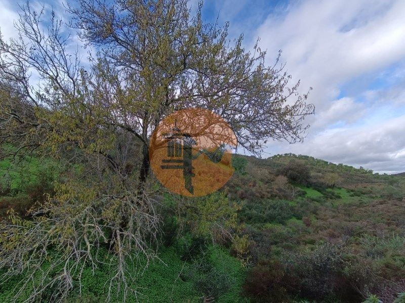 Property photo 1 of 36