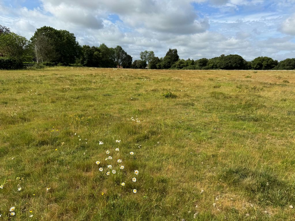 Property photo 2 of 4 View From Within Lot 1 Looking Southwest