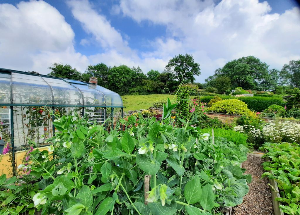 Property photo 3 of 23 Garden In Summer