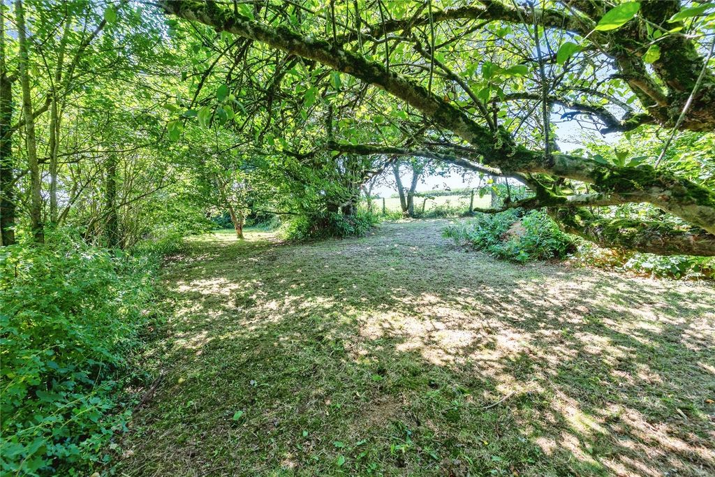 Property photo 3 of 24 Picture No. 31
