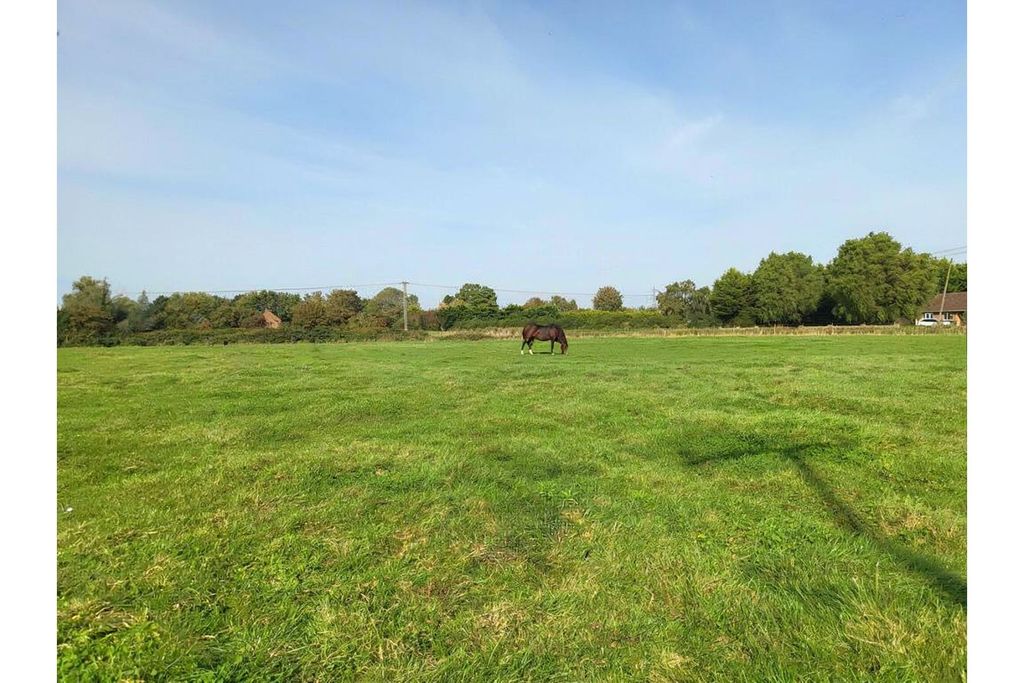Property photo 3 of 44 Land