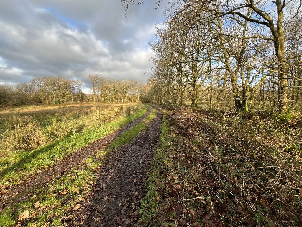 Additional image 14 of 3 bed farm for saleCapel Isaac, Llandeilo, Carmarthenshire. SA19