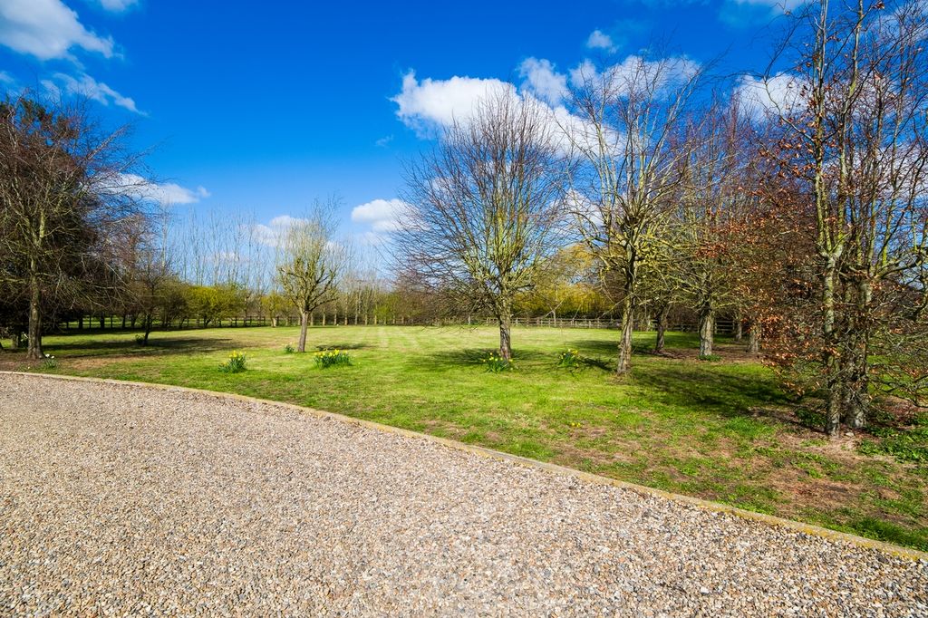 Property photo 3 of 46