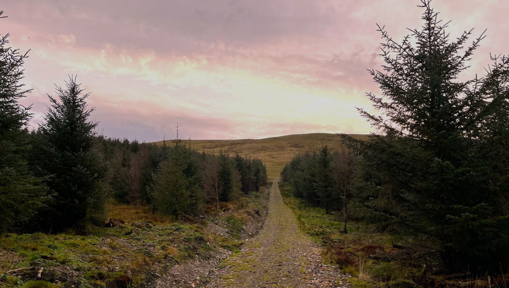 Property photo 2 of 4