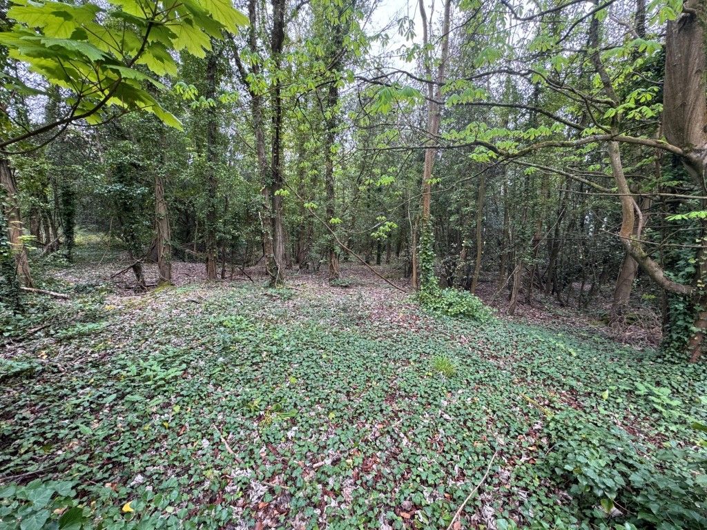 Property photo 1 of 5 General View Of The Woodland