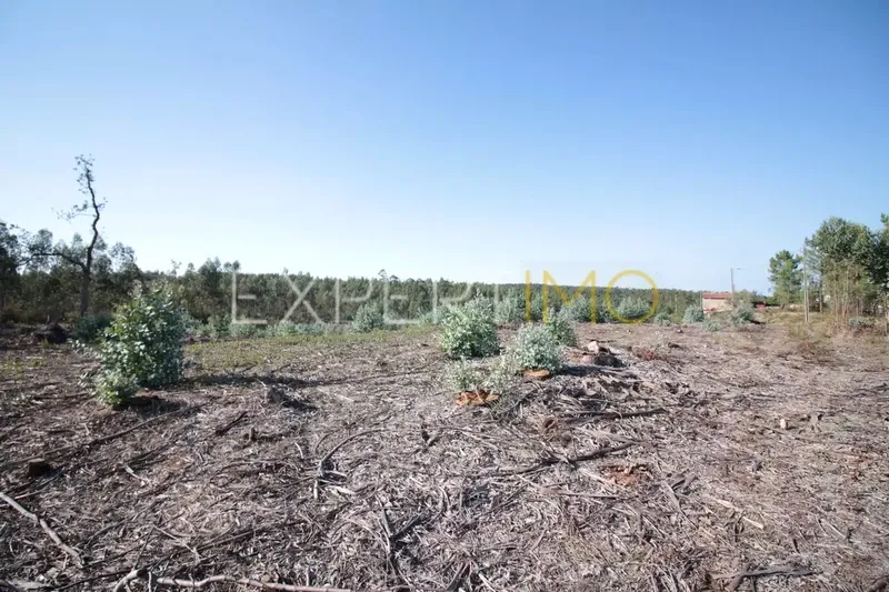 Property photo 3 of 5 Img 2