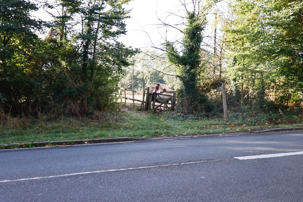 Property photo 2 of 3 Photo 2