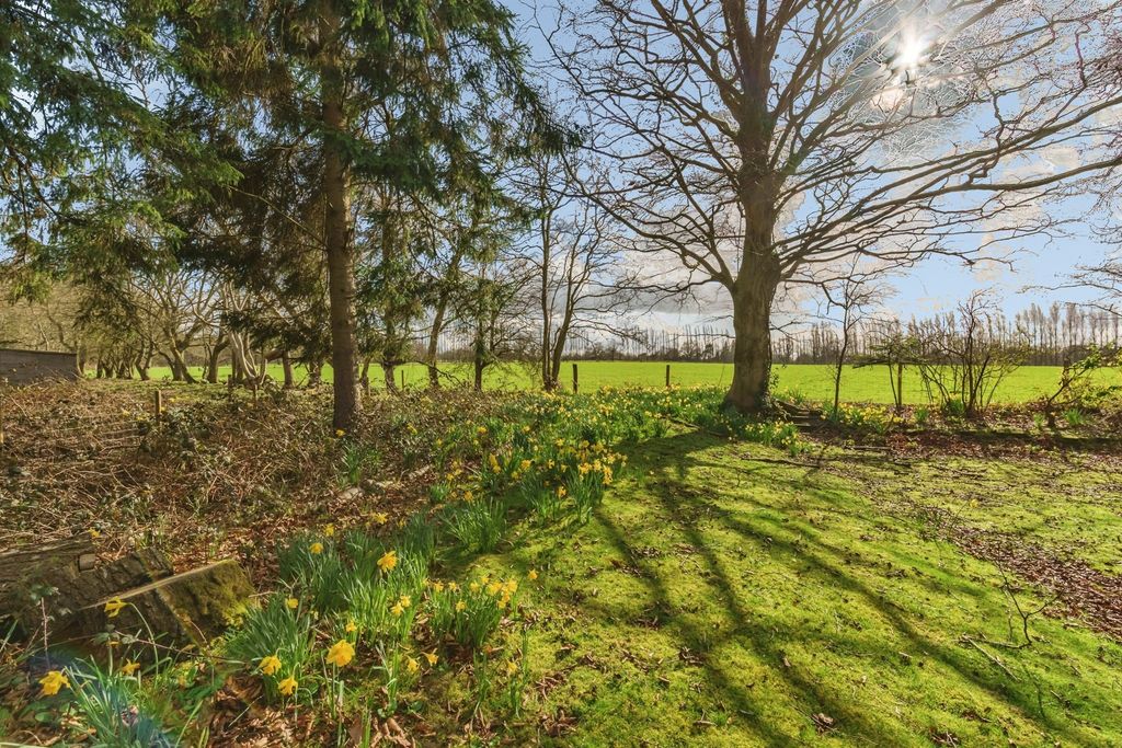 Property photo 3 of 20